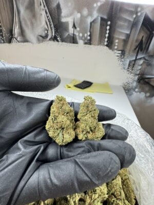 EXOTIC WEED